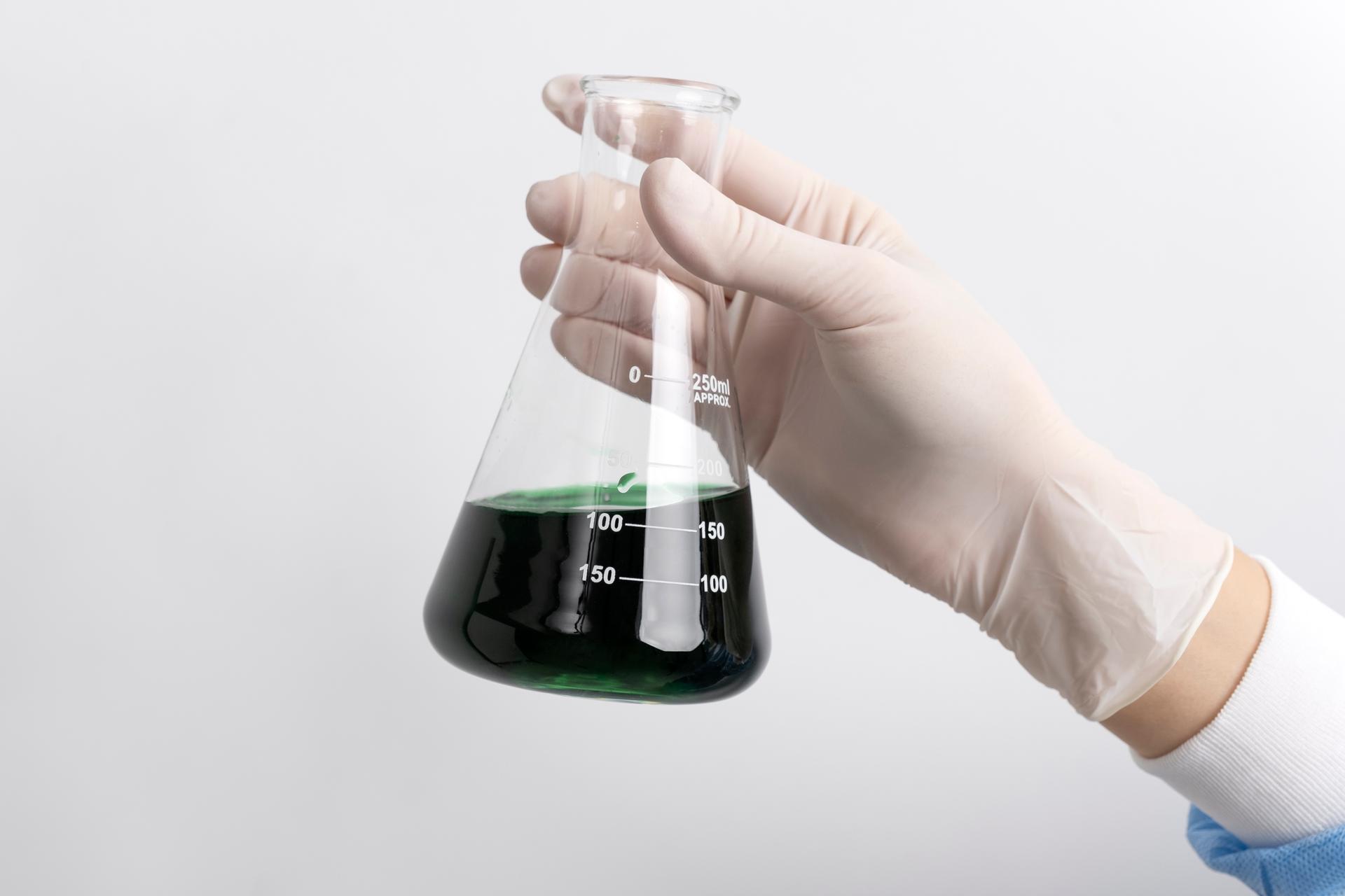 KIDNEY FUNCTION EXAMINATION